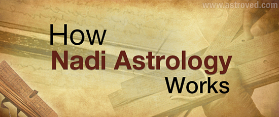 Nadi Astrology Free Chart