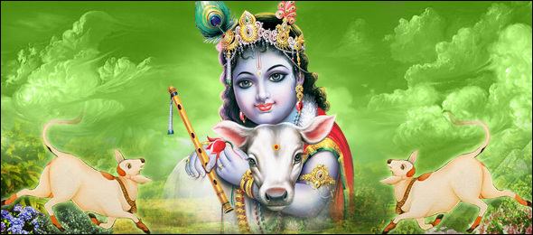 Krishna Jayanti