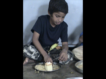 Feeding11