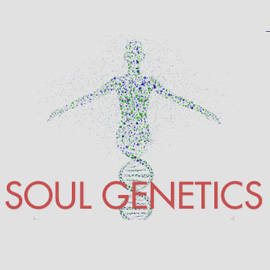 Soul Genetics Program