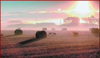 Make hay while the Sun shines!
